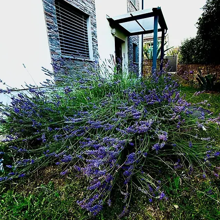 Lavanda & Oleander Portoroz