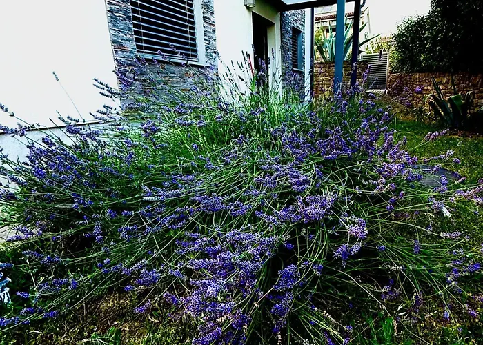 Apartma Lavanda Порторож